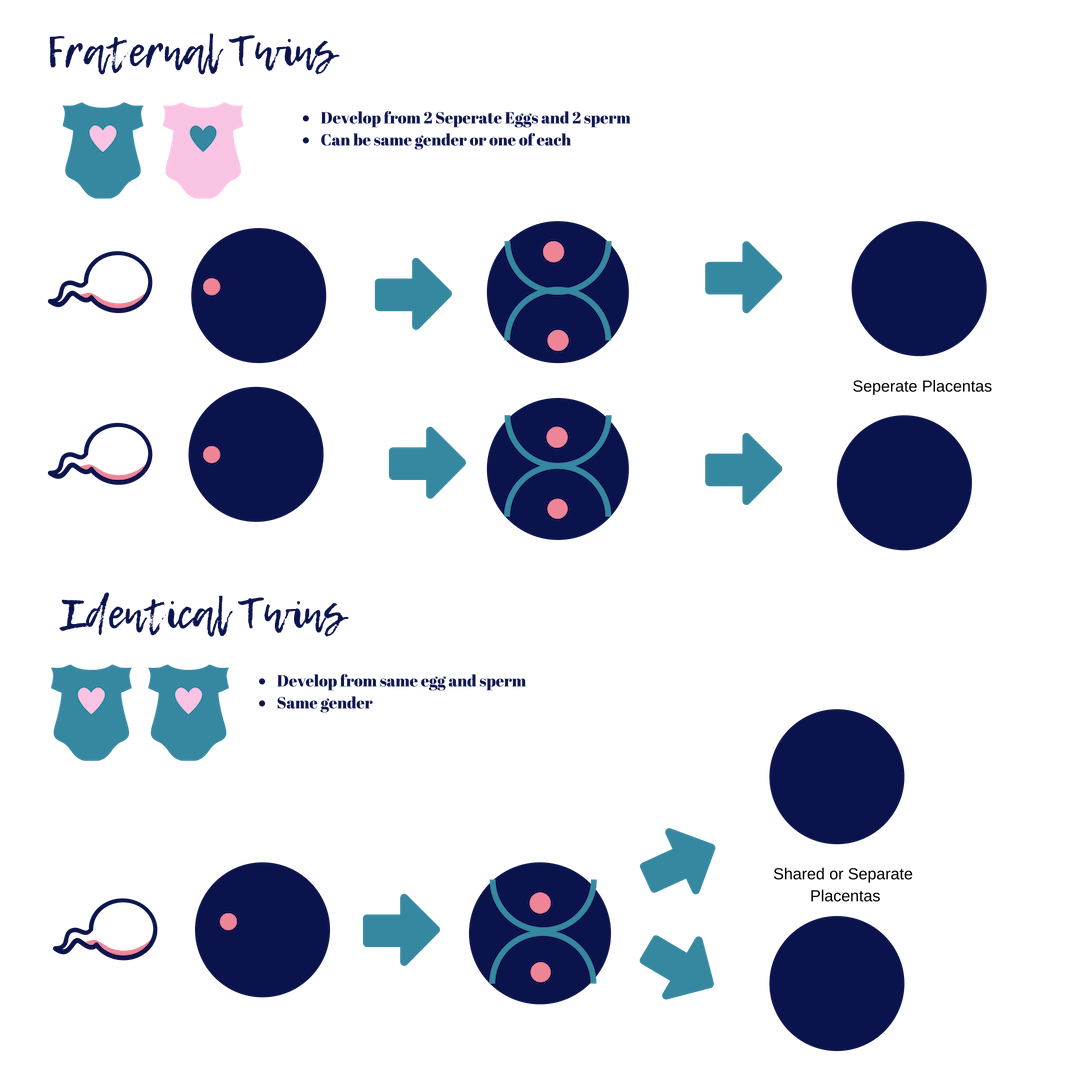 Fraternal Twins